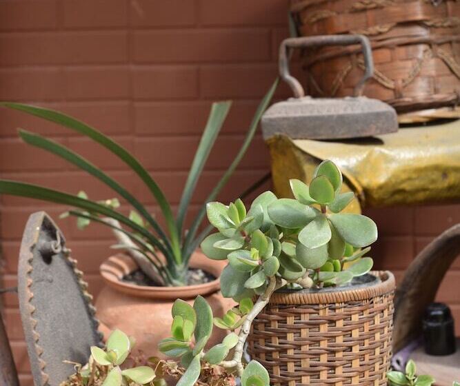 Fotos del hotel Day Room Art:  19