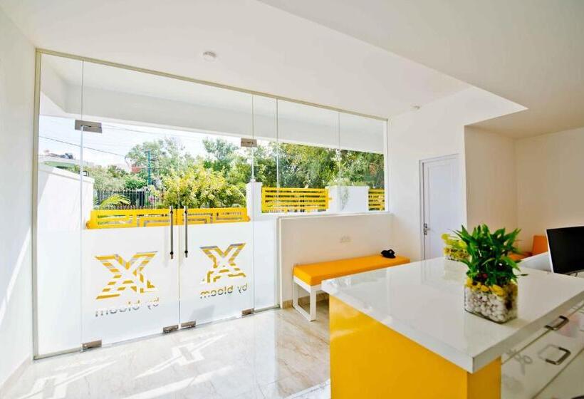 Fotos del hotel X By Bloom I Hebbal Manyata Park:  22