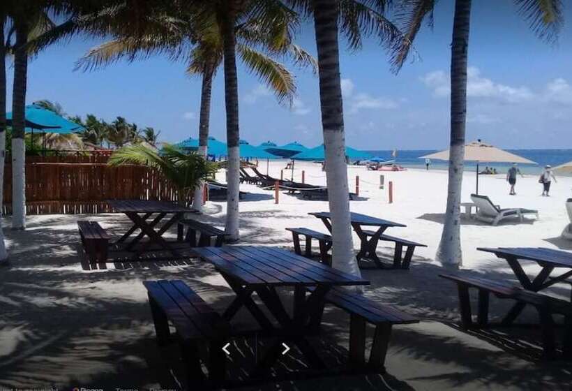 Fotos del hotel & Beach Club Ojo De Agua:  25