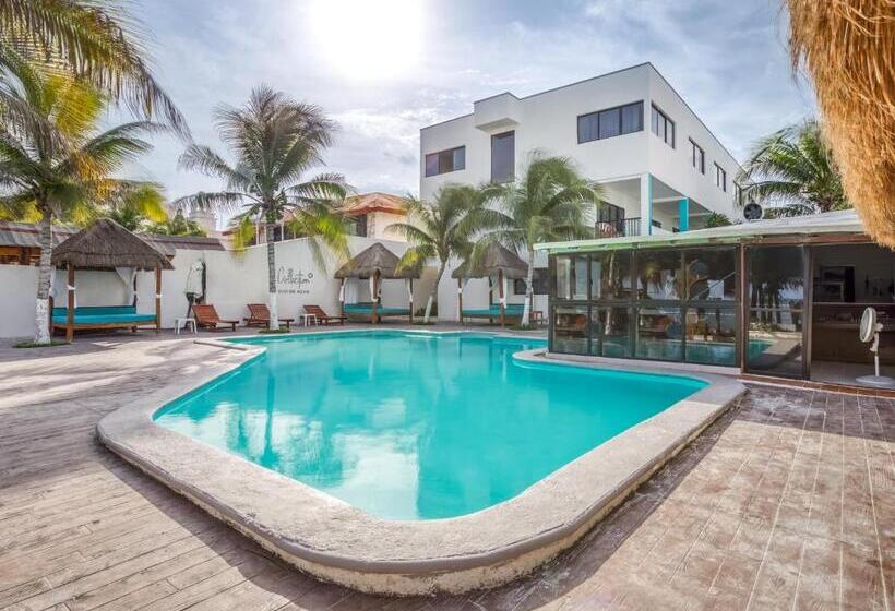 Fotos del hotel & Beach Club Ojo De Agua:  4