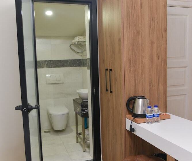 Fotos del hotel Luxir:  10