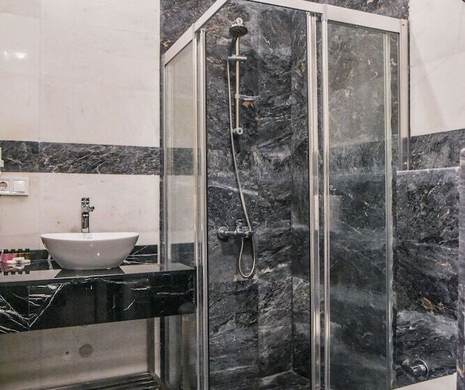 Fotos del hotel Luxir:  24