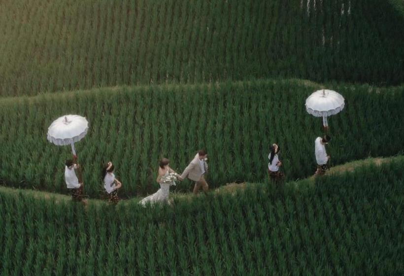 Fotos del hotel Adiwana Bisma:  25