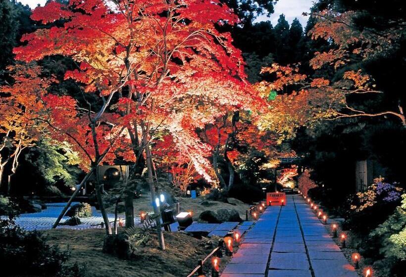 Fotos del hotel Premium Green Plus:  5