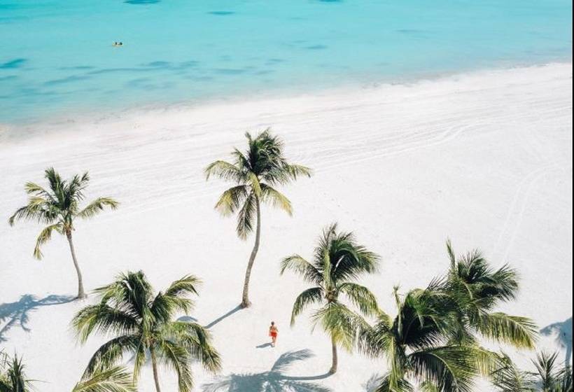 Fotos del hotel Hyatt Ziva Cap Cana:  13