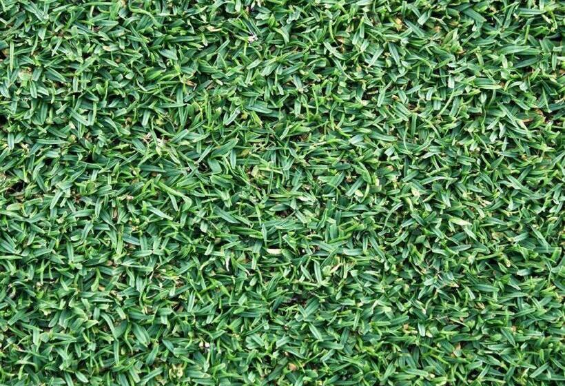 Fotos del hotel Jo Carter's Hotel & Suites:  4