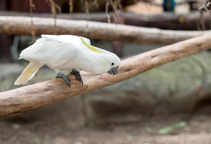 Fotos del hotel Jo Carter's Hotel & Suites:  15