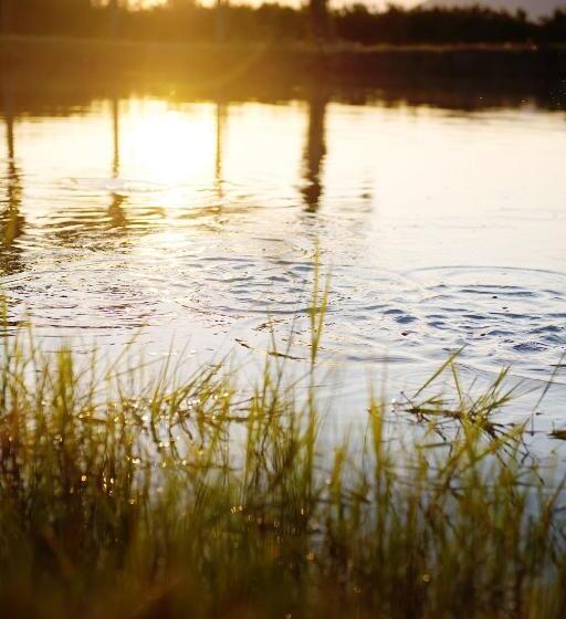 Fotos del hotel Almar View Guest House:  22