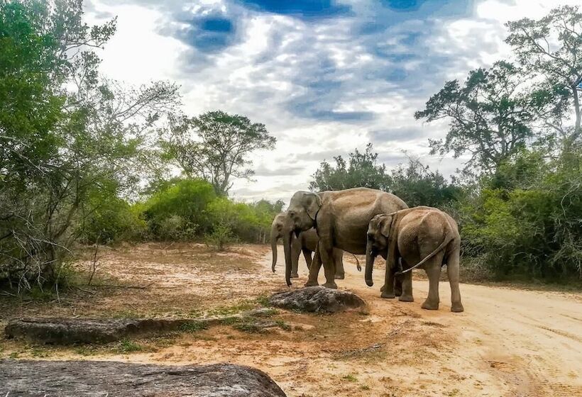 Fotos del hotel Kenuson Villas:  15