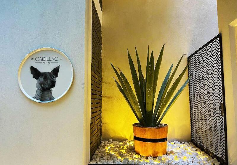 Fotos del hotel Cadillac Hotel Boutique:  22