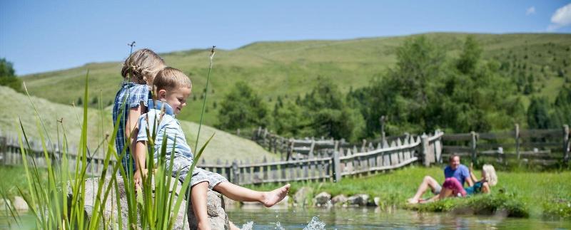 Fotos del hotel Fichtenhof:  9