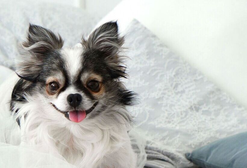 Fotos del hotel Residence Inn By Marriott Cancun  Zone:  13