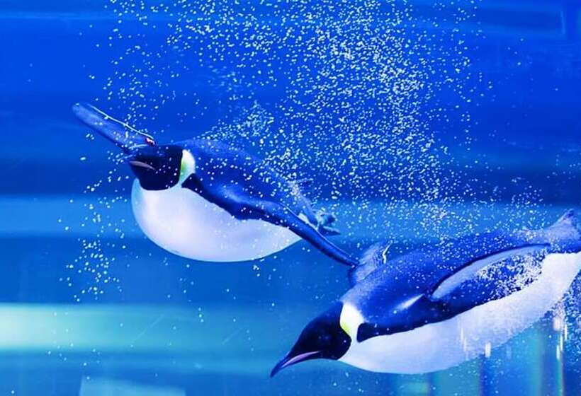 Fotos del hotel Holiday Inn Shanghai Dishui Lake:  2