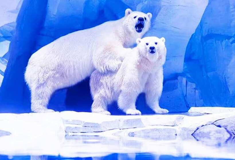 Fotos del hotel Holiday Inn Shanghai Dishui Lake:  23