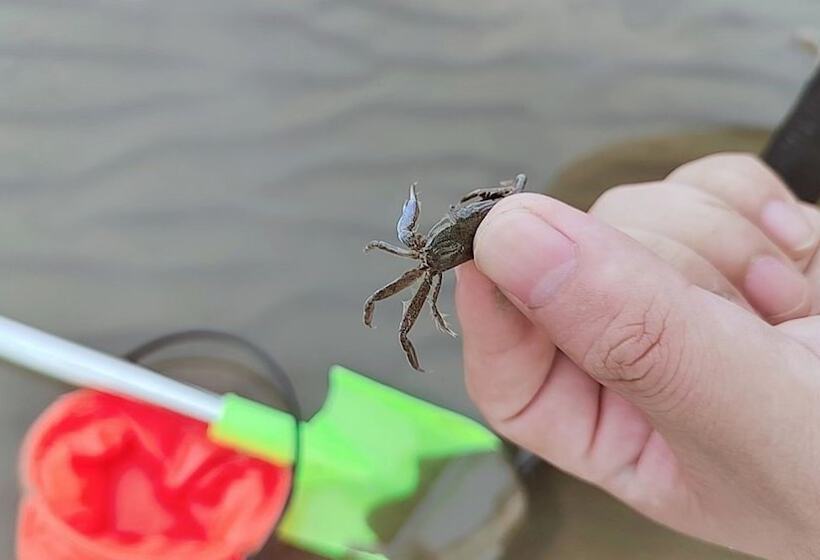 Fotos del hotel Holiday Inn Shanghai Dishui Lake:  4