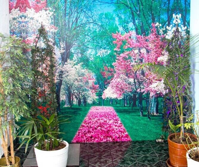 Fotos del hotel Inti Killa Hostel:  12