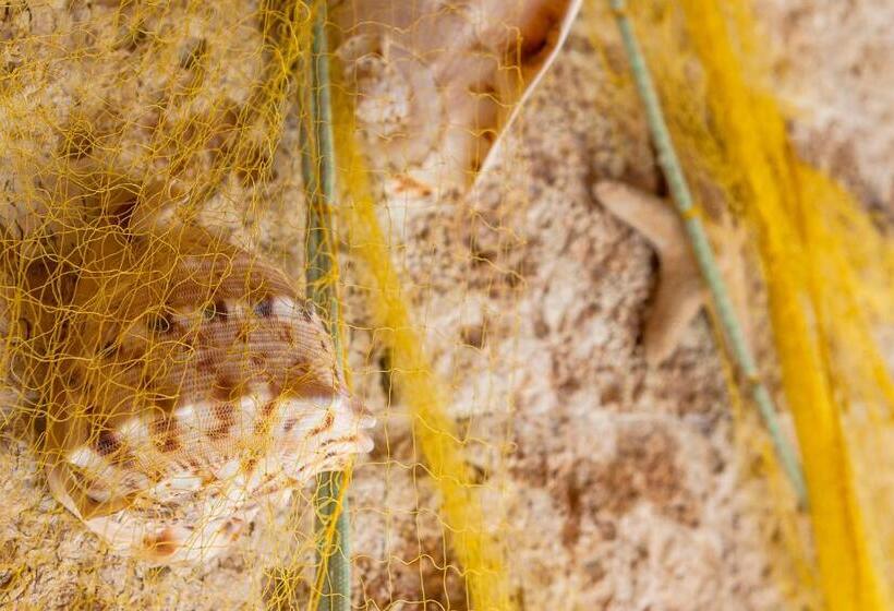 Fotos del hotel Ilios Beach  Apartments Adults Only:  12