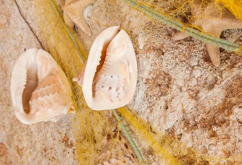 Fotos del hotel Ilios Beach  Apartments Adults Only:  13