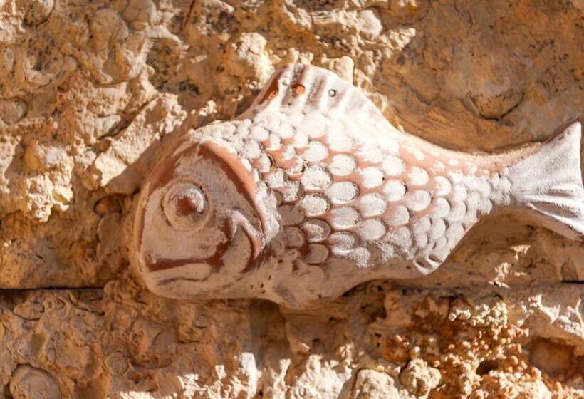 Fotos del hotel Ilios Beach  Apartments Adults Only:  2