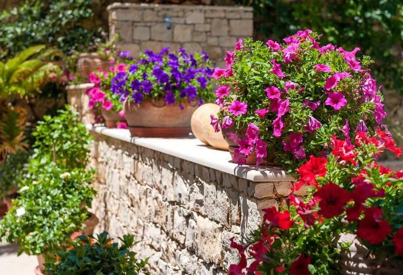 Fotos del hotel Ilios Beach  Apartments Adults Only:  14