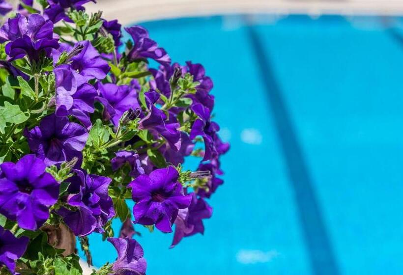 Fotos del hotel Ilios Beach  Apartments Adults Only:  25