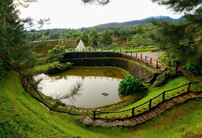 Fotos del hotel Dahilayan Forest Park Resort:  18