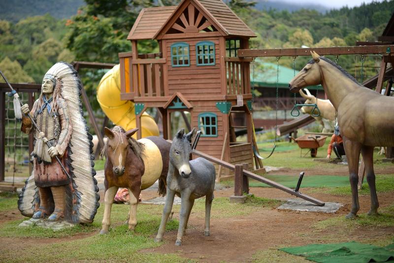 Fotos del hotel Dahilayan Forest Park Resort:  21