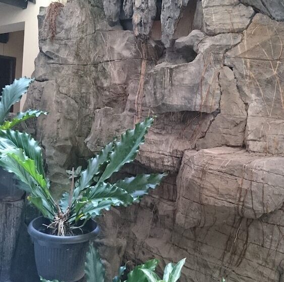 Fotos del hotel Metro Guest House:  14