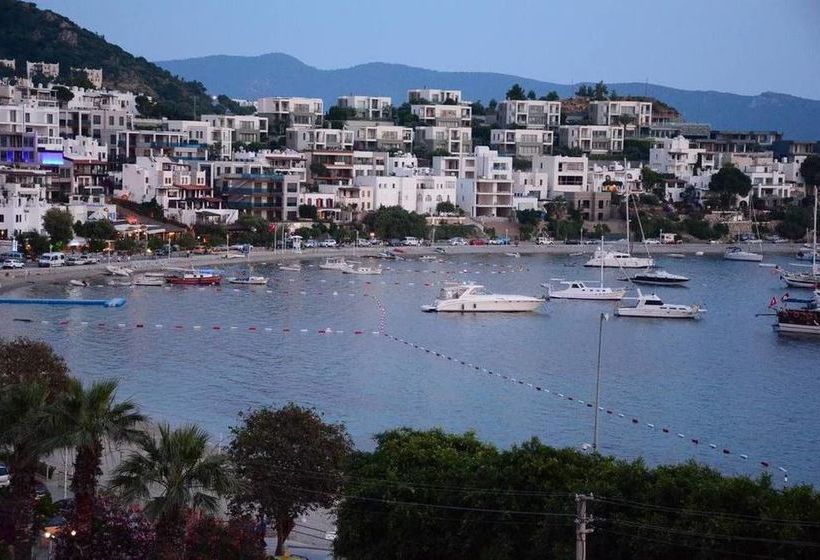 Fotos del hotel Angora:  6