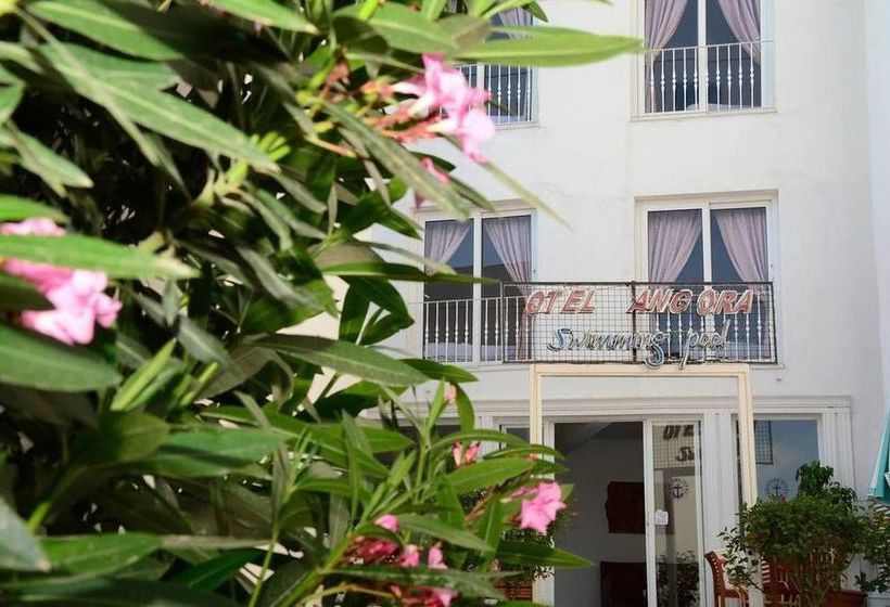 Fotos del hotel Angora:  21