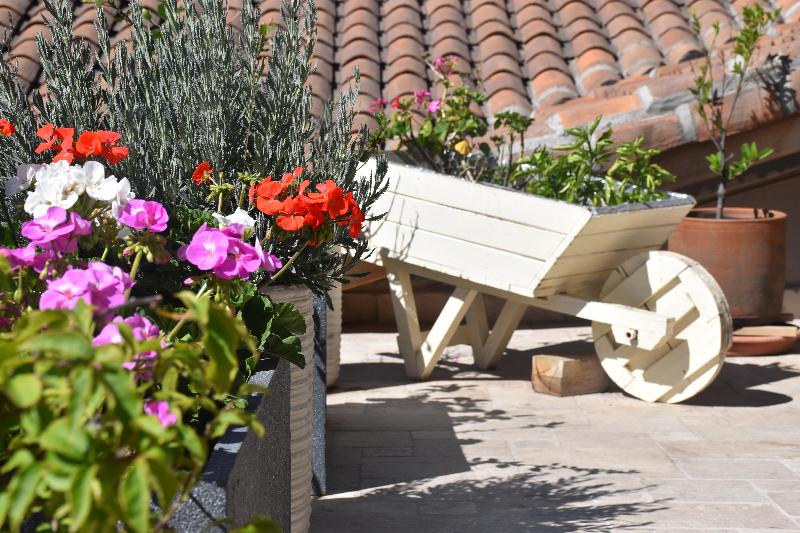 Fotos del hotel Casa El Edén:  17