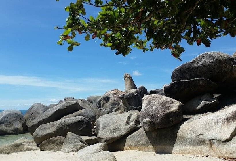 Fotos del hotel Grand Manita Beach Resort:  7