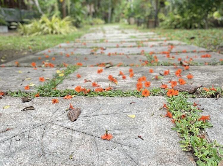 Fotos del hotel Grand Manita Beach Resort:  3