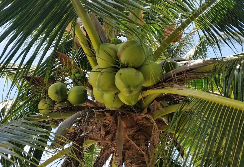 Fotos del hotel Grand Manita Beach Resort:  22