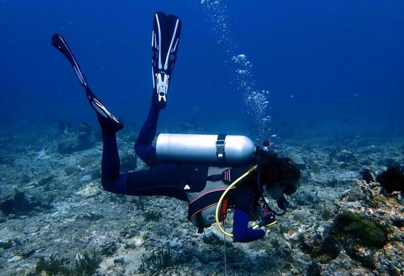 Fotos del hotel Oceans 5 Dive Resort:  19