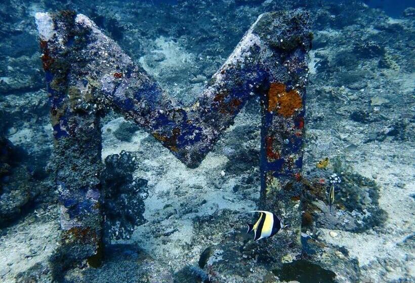 Fotos del hotel Oceans 5 Dive Resort:  6