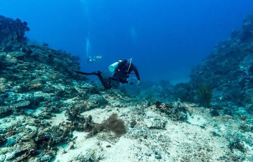 Fotos del hotel Oceans 5 Dive Resort:  21