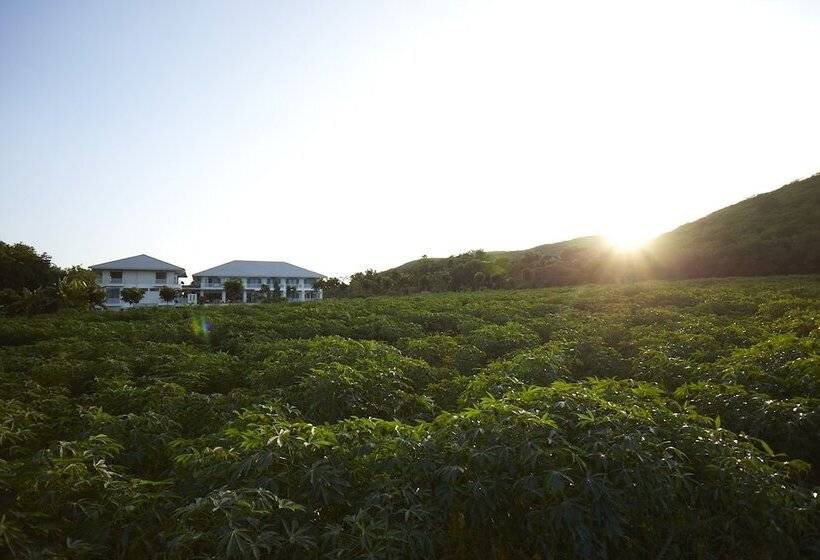 Fotos del hotel Santosha Health & Lifestyle Resort:  9