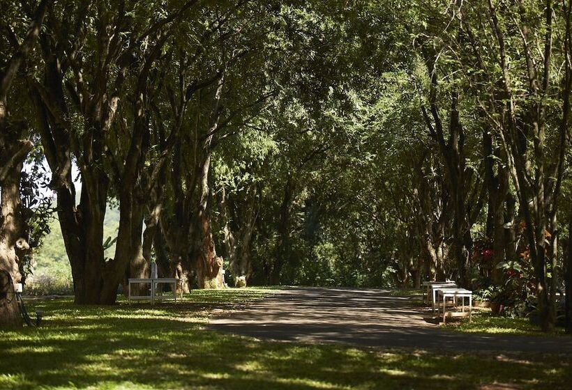 Fotos del hotel Santosha Health & Lifestyle Resort:  4