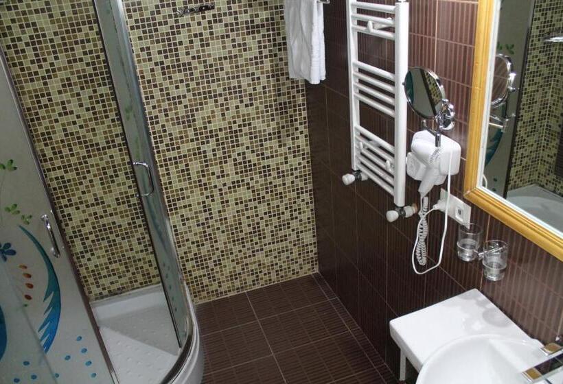 Fotos del hotel Borjomi Palace Health & Spa Center:  10