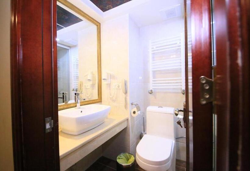 Fotos del hotel Borjomi Palace Health & Spa Center:  5