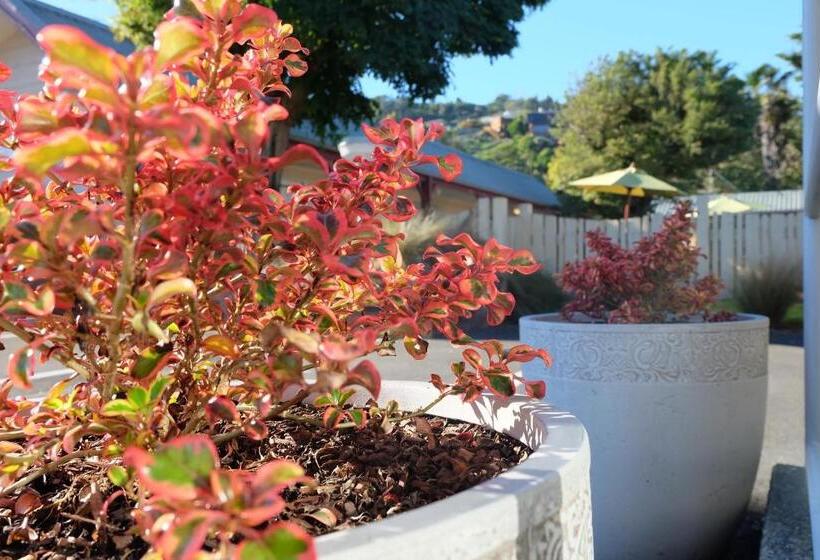 Fotos del hotel Castles Motel:  11