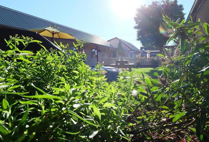 Fotos del hotel Castles Motel:  12