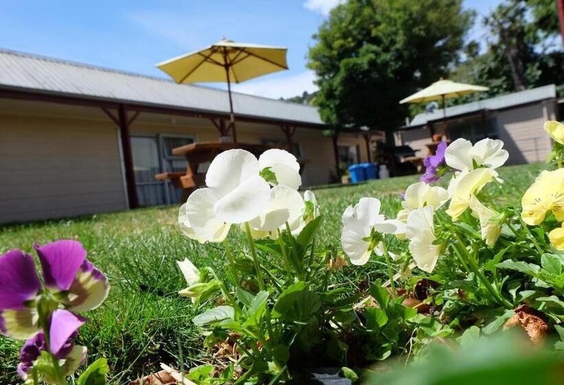 Fotos del hotel Castles Motel:  14