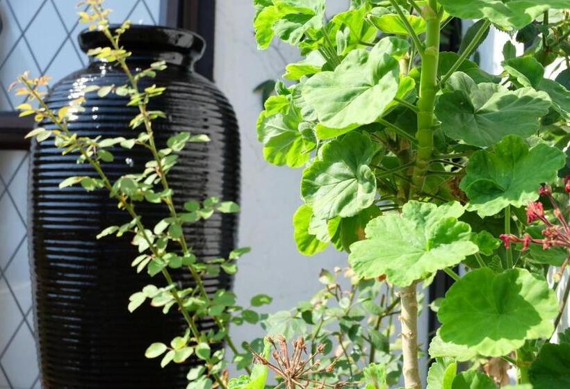 Fotos del hotel Castles Motel:  2