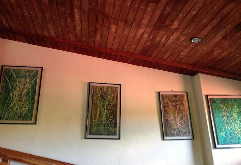 Fotos del hotel Central Park-managua:  4