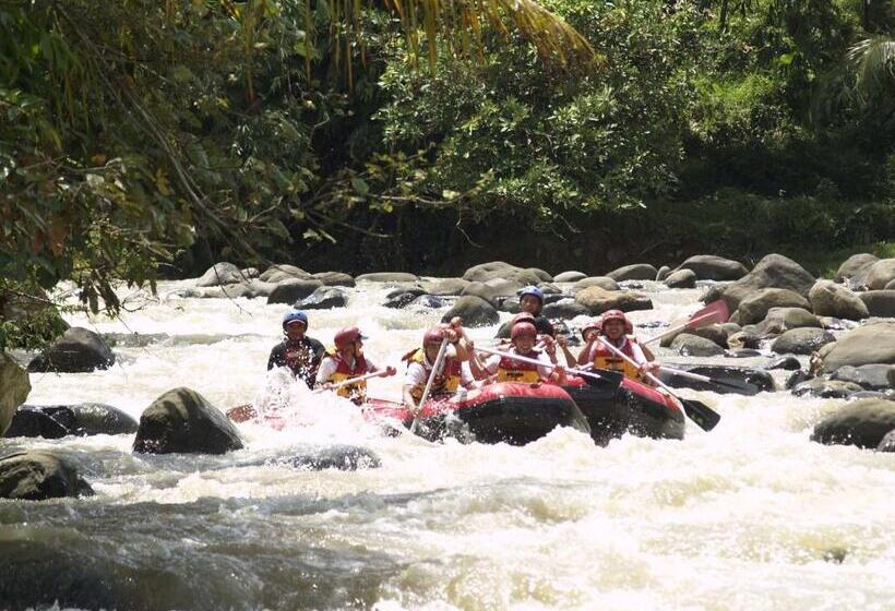 Fotos del hotel Prime Plaza   Purwakarta:  21