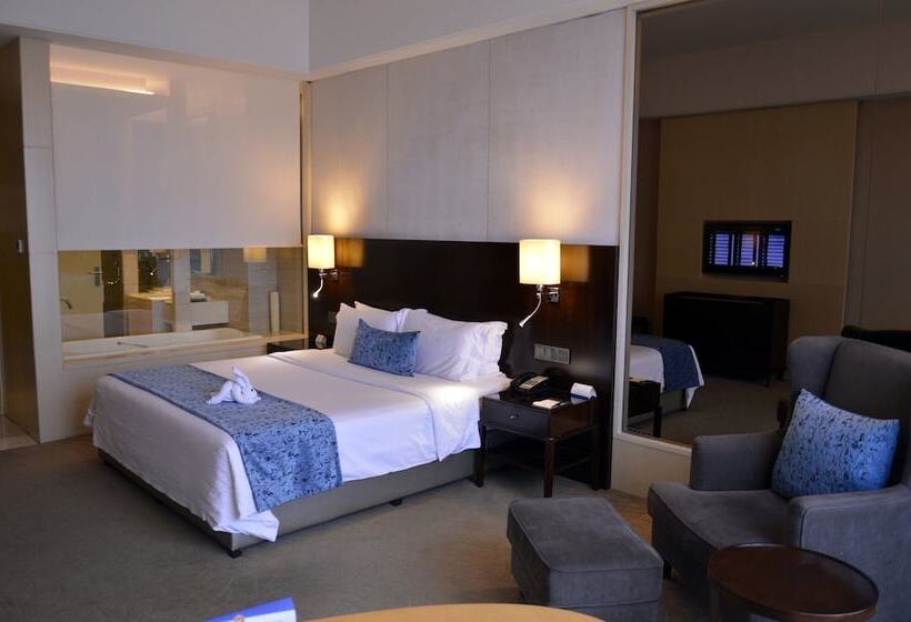 Fotos del hotel Xi An Zte:  2