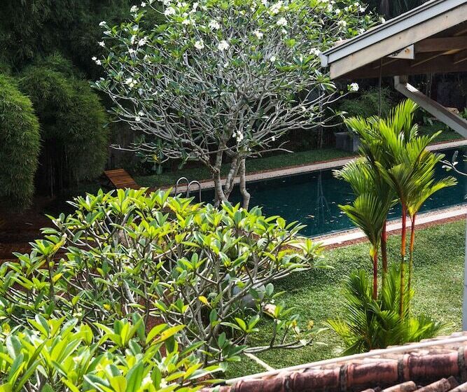 Fotos del hotel Villa White Queen:  20