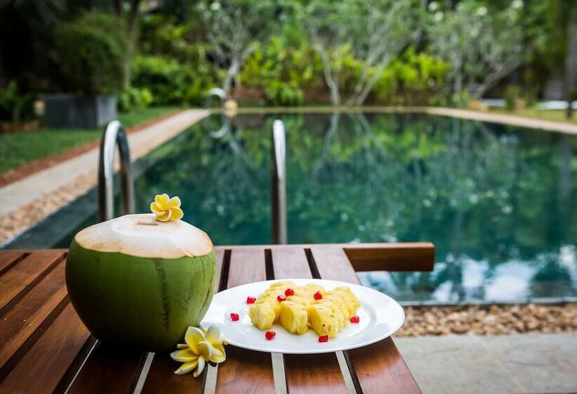 Fotos del hotel Villa White Queen:  6